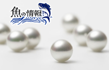 真珠◆「海の宝石」は日本の重要な水産物