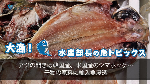 【第３４回】アジの開きは韓国産、米国産のシマホッケ…干物の原料に輸入魚浸透