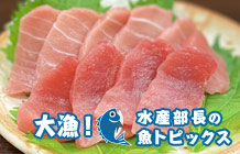 プロも悩むマグロ解凍◆競り人の「５％塩水」