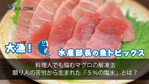 【第３７回】料理人でも悩むマグロの解凍法　競り人の苦労から生まれた「５％の塩水」とは？