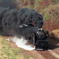 ＪＲ北海道の函館本…：蒸気機関車～懐かしのＤ５１から世界のＳＬまで 
