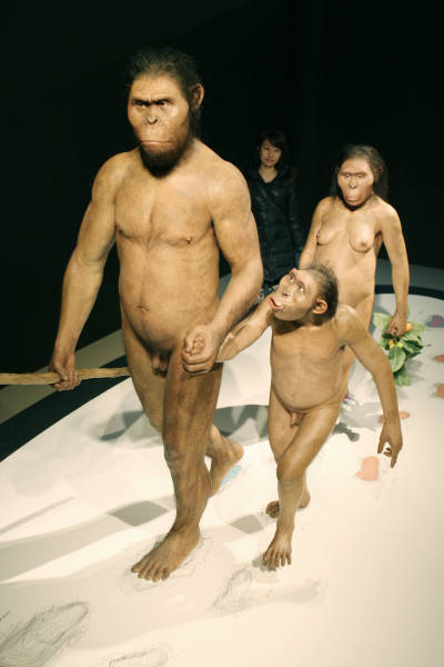 国立科学博物館の特別展「グレートジャーニー人…：猿人・原人・類人猿 写真特集：時事ドットコム