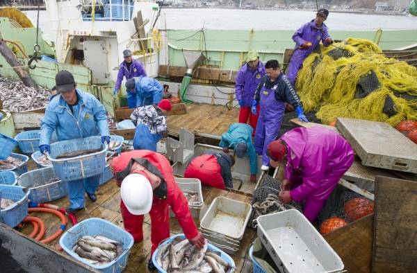 再開した岩手県宮古市の魚市場。津波の被害…：東日本大震災 漁業再生 写真特集：時事ドットコム
