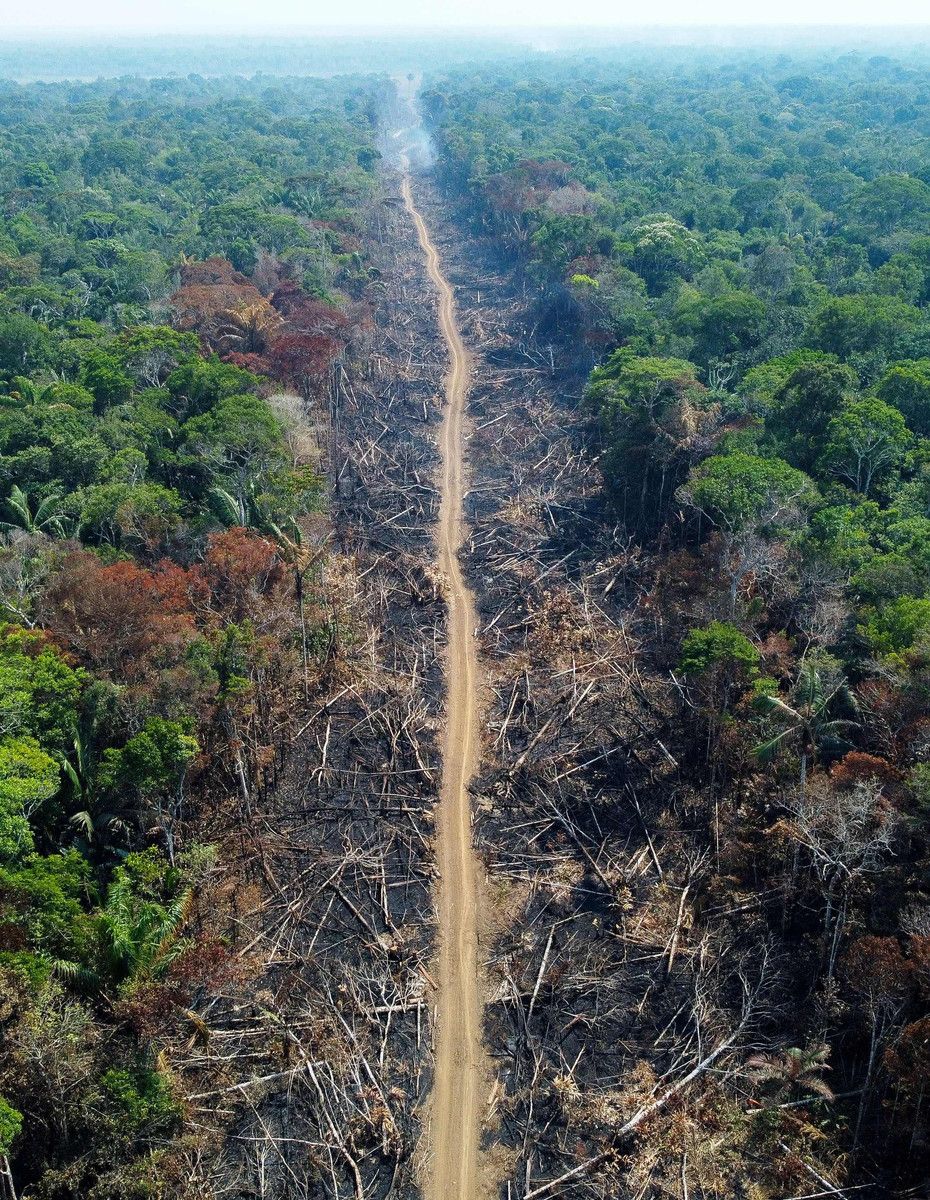 アマゾン森林消失が３割減 ルラ政権、発足半年の成果強調―ブラジル：時事ドットコム