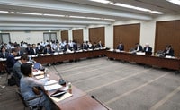 財政検証結果について話し合う第１６回社会保障審議会年金部会＝３日午後、東京都千代田区の全国都市会館